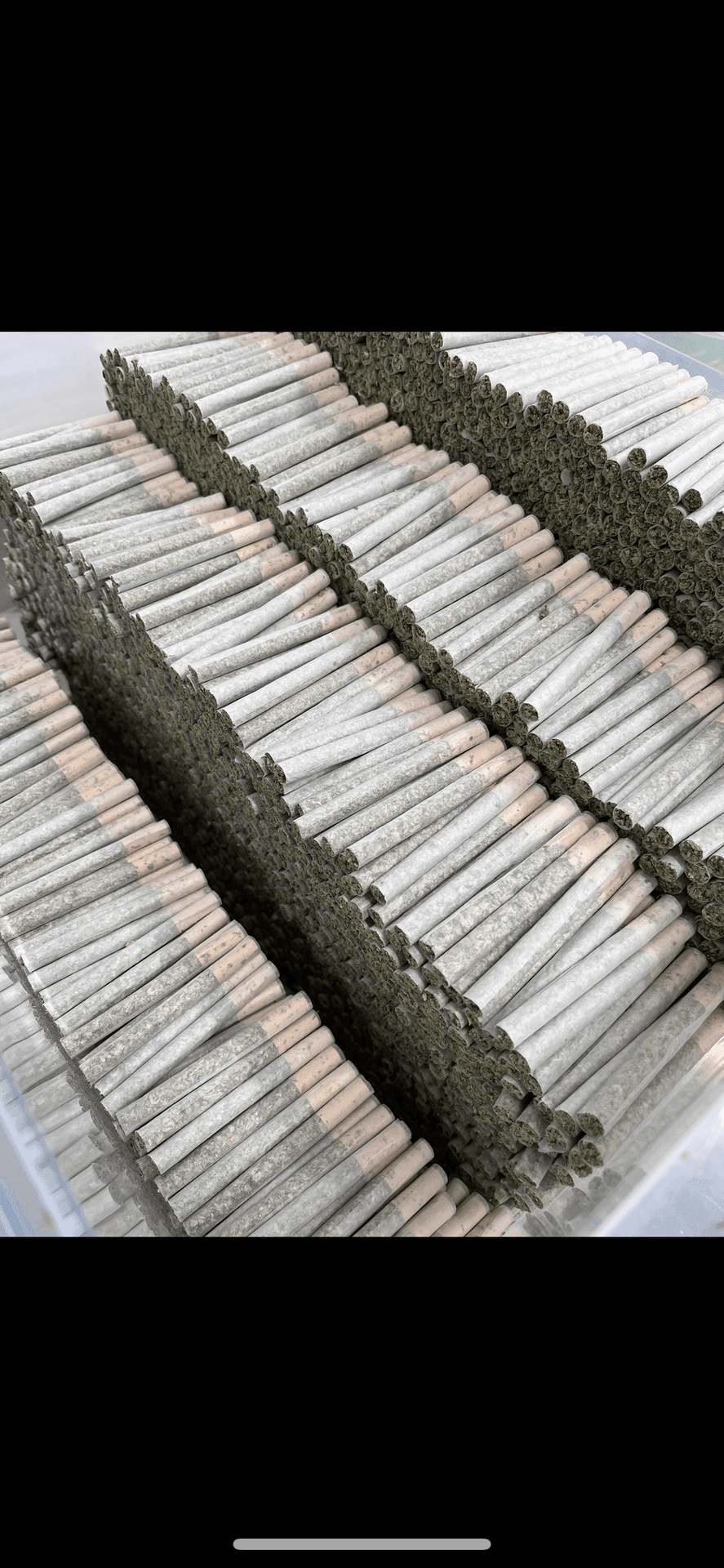 More then 30,000/ pre-rolls per month